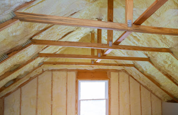 Best Energy Efficiency Insulation in Black River Falls, WI