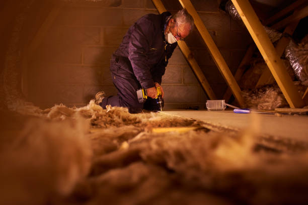 Best Specialized Insulation Services in Black River Falls, WI